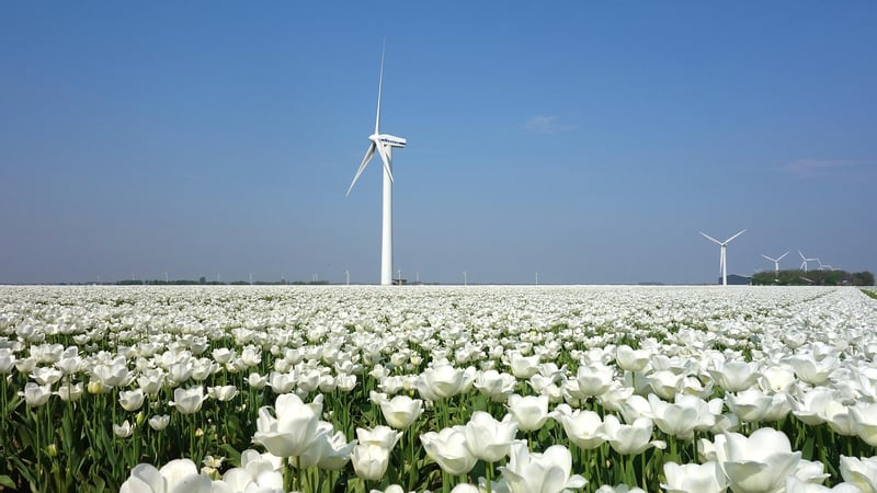 Netherlands Location